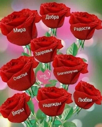 rozy-pozhelanij-dlya-druzej.webp