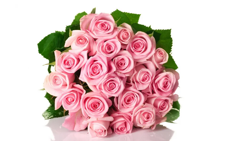 розы роз 868.webp