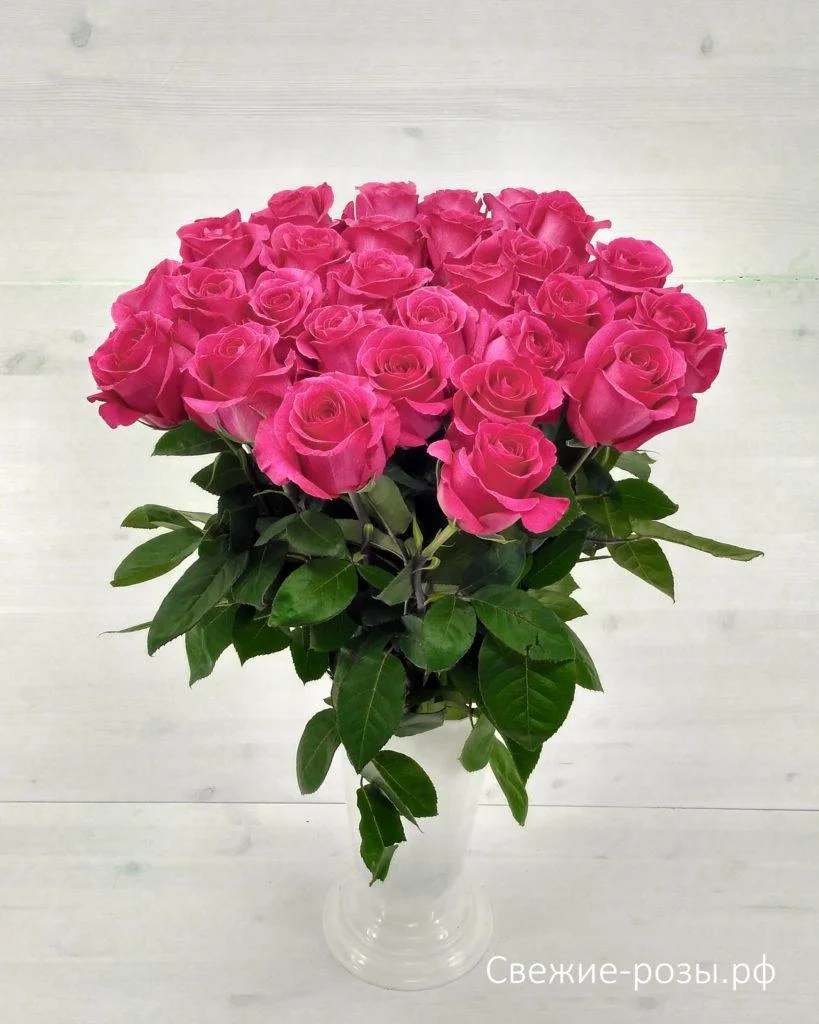 розы.webp