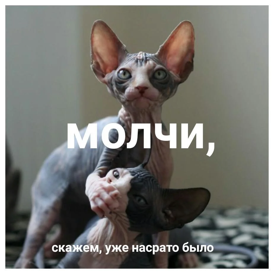 ррр.webp