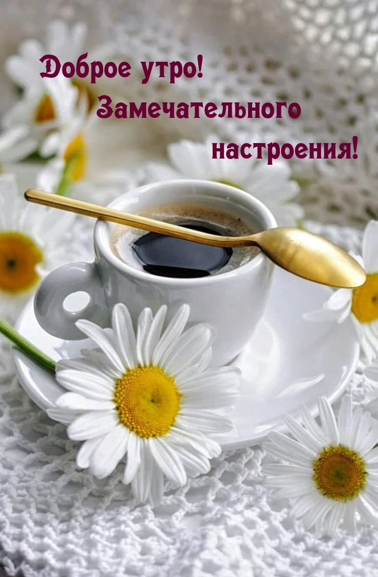 rupix_ru_867 (1).webp