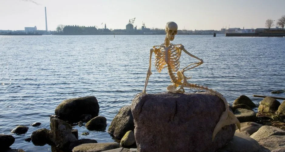 русалка копенгаген 2.webp