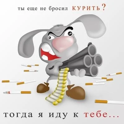 rusbody49c9adb18e44be0711a94e827042f630.webp