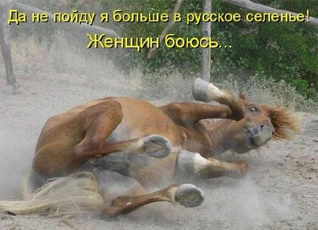 русское  селенье.webp