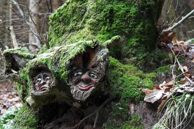 рутарий 3.webp