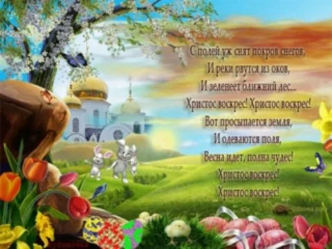 rutube_415c0db0541c13cc3133aba559d8c75e-1.webp