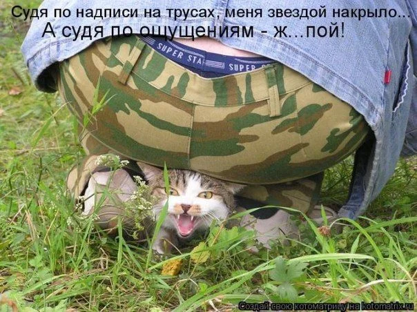 rWGDsWYCmSw.webp