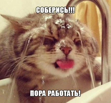 rX_sd1rTPhk.webp