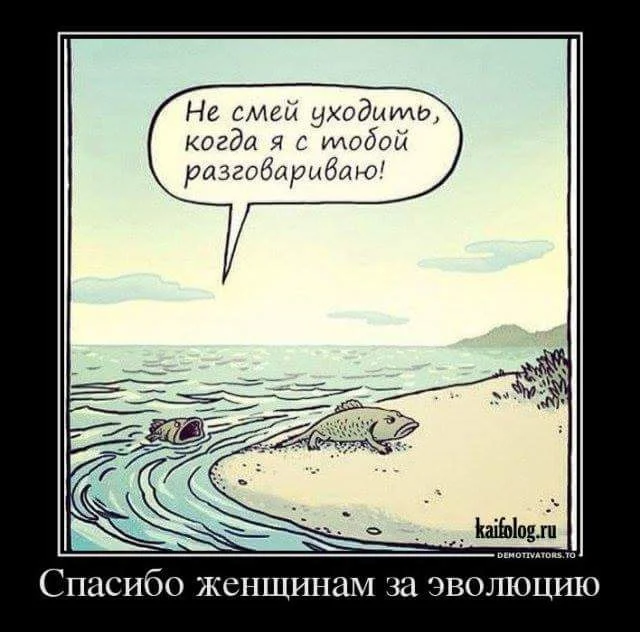 рыба моя.webp