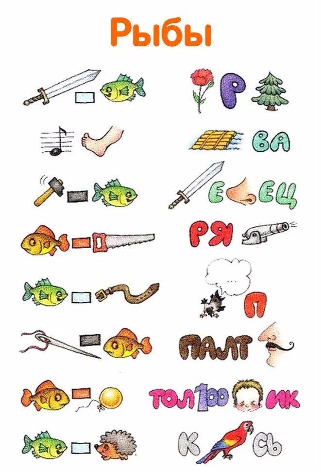 рыбки.webp