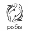 ryby(3).webp