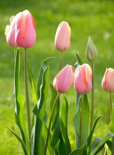 rYc96tqgdkg.webp