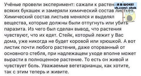 rYczaGd5PBI.webp
