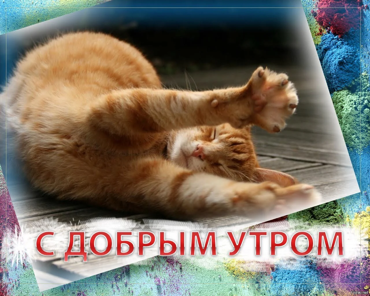 рыжее солнце.webp