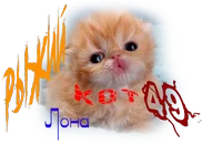 Рыжий кот Лона.webp