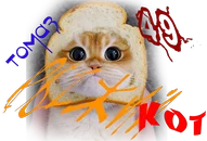 Рыжий кот томаз.webp