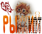 Рыжий кот.png