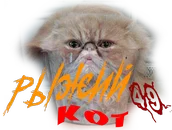 Рыжий кот1.png