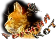 Рыжий кот3.png
