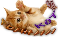 Рыжий кот4.webp