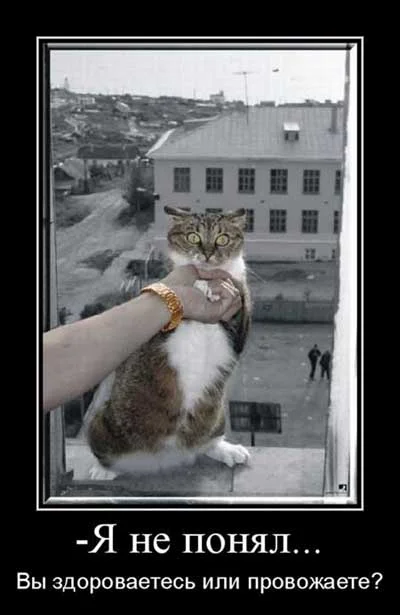 rzhachnye_demotivatory09.webp