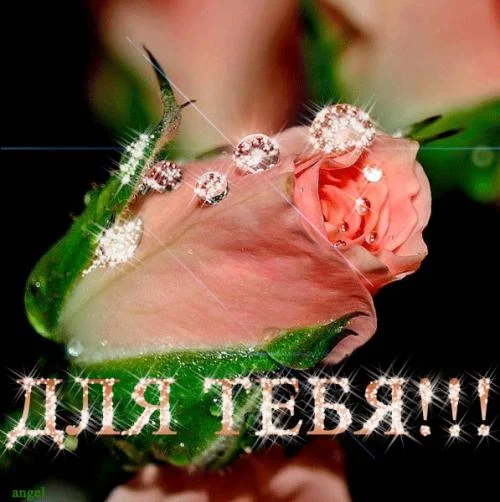 s-dba07f35c231ca2f7dae5589be1ec370_1084700.webp