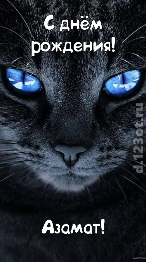 с-днём-0-рождения-0-азамат-196.webp