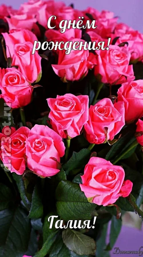 с-днём-0-рождения-0-галия-145.webp