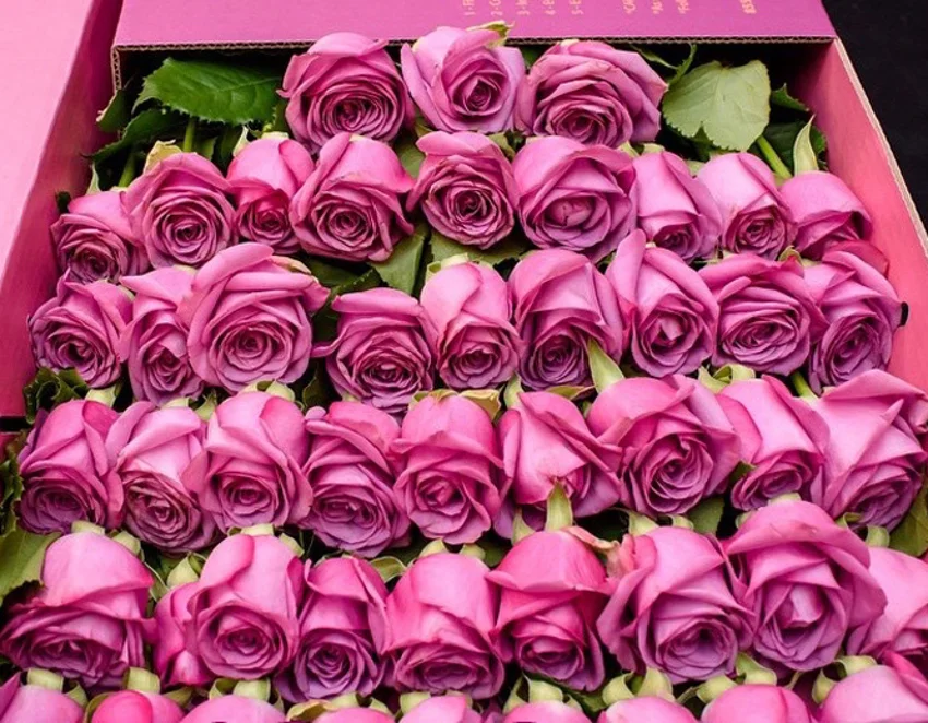 с днем 1 - копия.webp