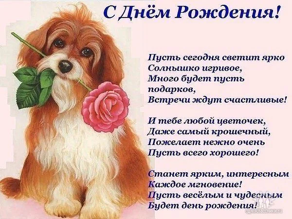 с днём рождения (собачка с розой).webp