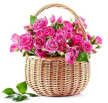 с Днём рождения !!!.webp