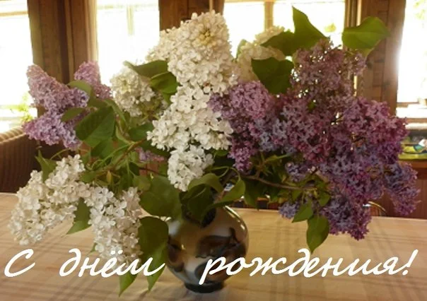 с днем рождения.webp