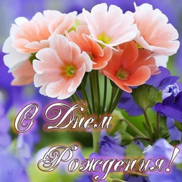 s-dnem-rozhdeniya.webp