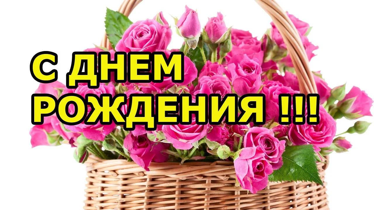 с днюхой.webp