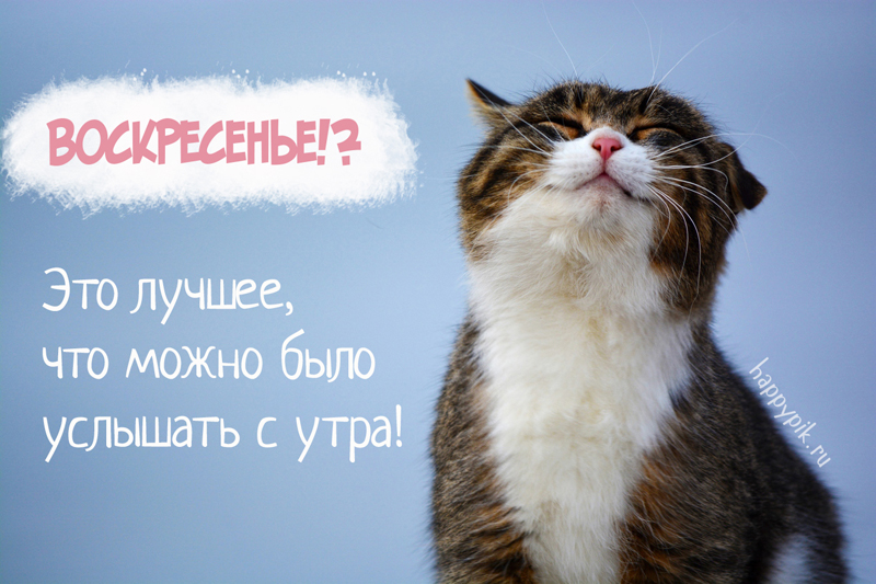 s-dobrim-utrom-voskresene10_happypik.ru_.jpg