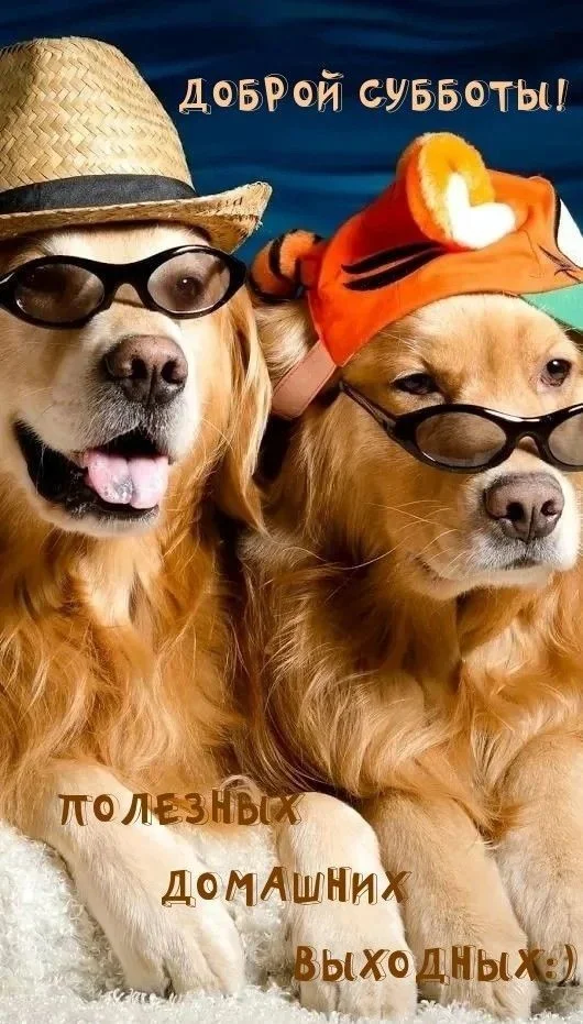 С-добрым-летним-субботним-утром-2022-открытки-9.webp