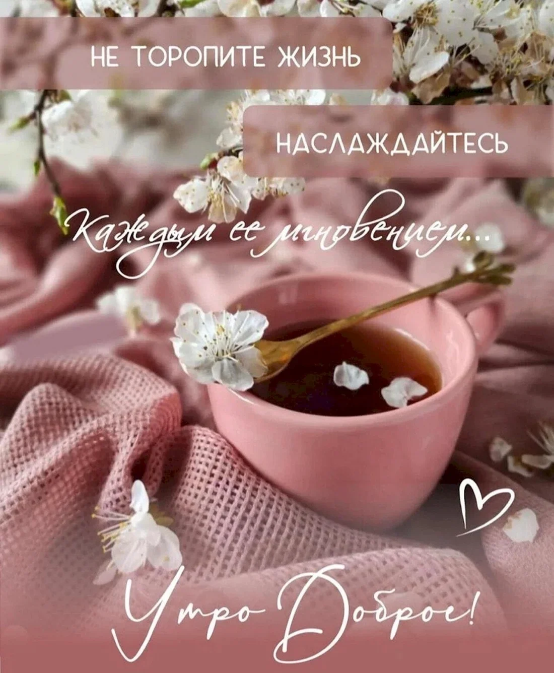 s-dobrym-utrom-1-1.webp