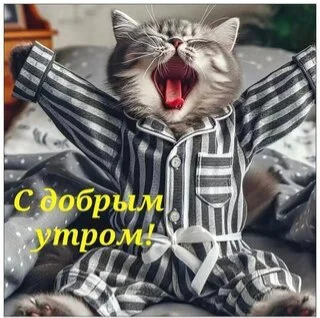 s-dobrym-utrom (1).webp