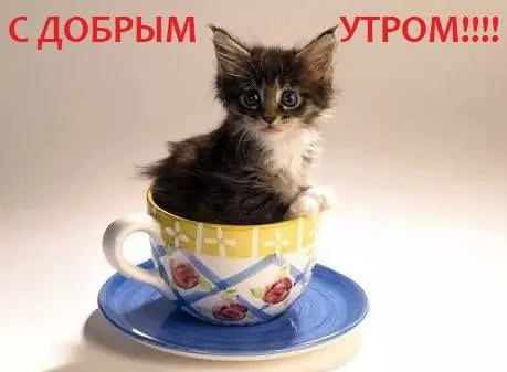 с добрым утром 1.webp