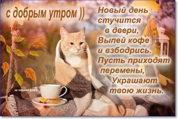 s-dobrym-utrom-kartinki-prikolnye-10.webp