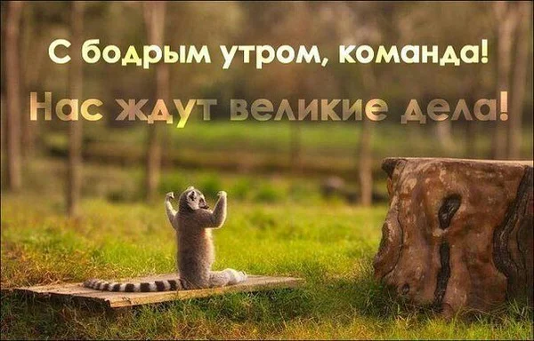 с добрым утром команда.webp