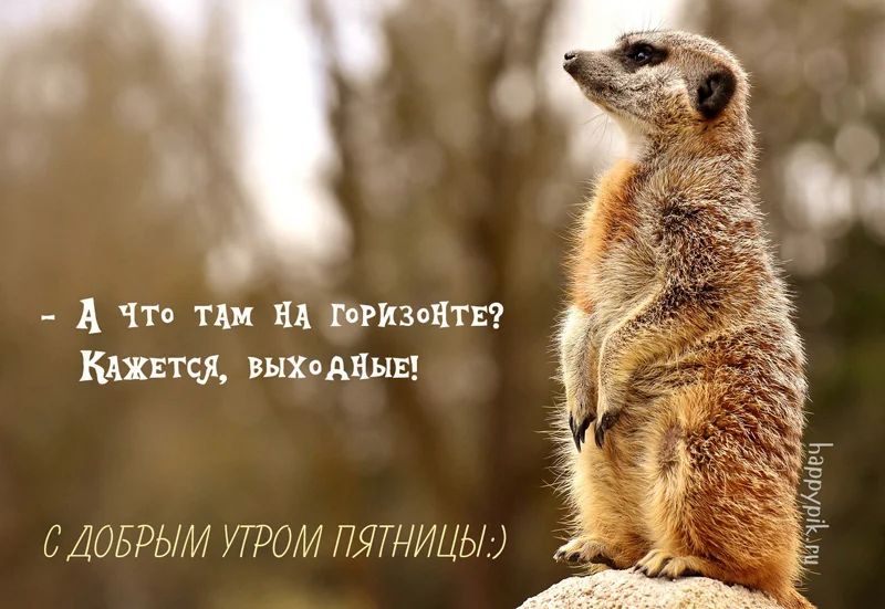 s-dobrym-utrom-pjatnitsa17_happypik.ru_.webp