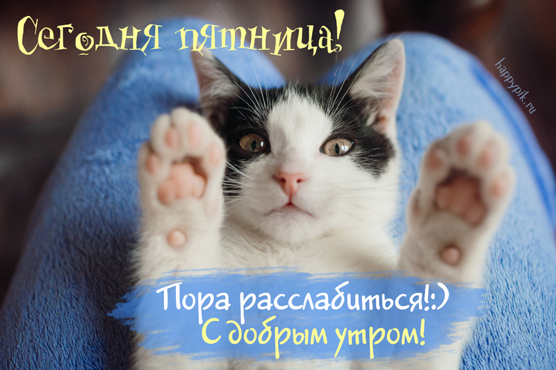 s-dobrym-utrom-pjatnitsa2_happypik.ru_.jpg