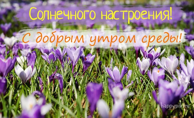 s-dobrym-utrom-sredy14_happypik.ru_.webp