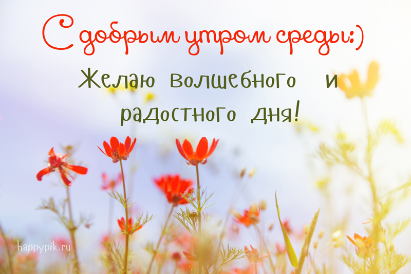 s-dobrym-utrom-sredy5_happypik.ru_.jpg