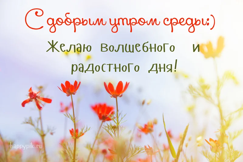 s-dobrym-utrom-sredy5_happypik.ru_.webp