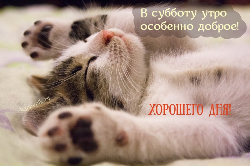 s-dobrym-utrom-subboty14_happypik.ru_.jpg