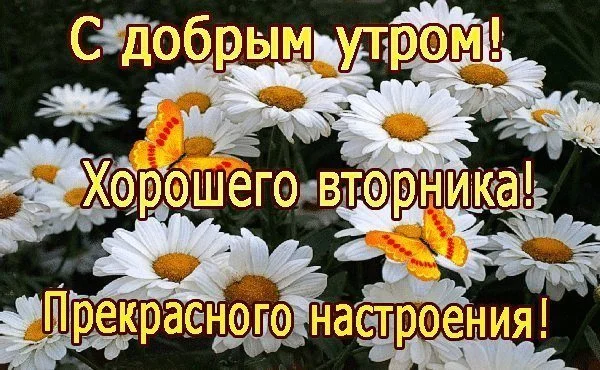 s-dobrym-utrom.webp