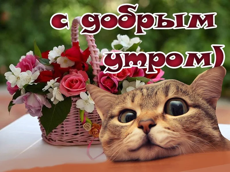 с добрым утром.webp