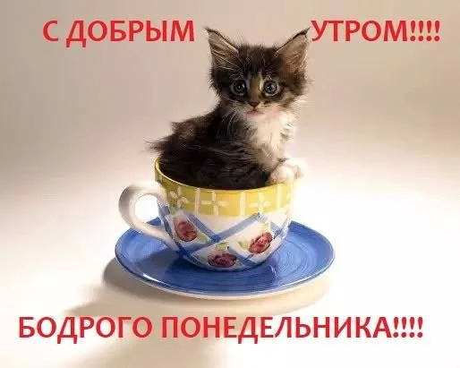 с добрым утром.webp